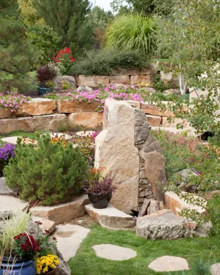 Outdoor Craftsmen - Drought-Resistant Lawn Installation in Erie, CO