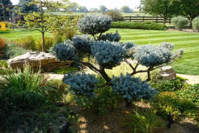 Outdoor Craftsmen - Drought-Resistant Lawn Installation in Erie, CO