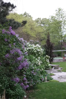 Arcadia Gardens, LLC - Garden Remodeling in Stevensville, MI