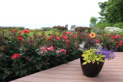 Arcadia Gardens, LLC - Garden Remodeling in Stevensville, MI