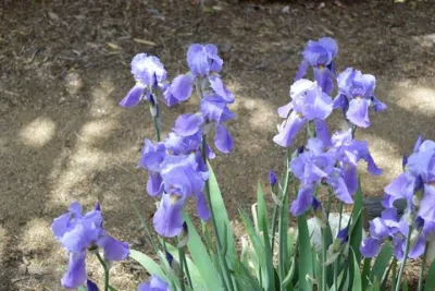 Outdoor Design Group - Patio Design & Installation in Arvada, CO