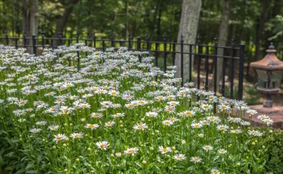 Outdoor Digs LLC - Garden Remodeling in Morristown, NJ
