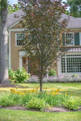 Outdoor Digs LLC - Garden Remodeling in Morristown, NJ