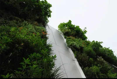 Architectural Solutions - Rainwater Harvesting System Installation in Modesto, CA