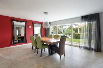 Natural Illumination — Window Installation & Replacement project by NewSouth Window Solutions