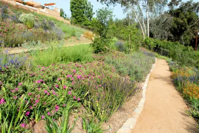 Architerra Design Group - Landscape Design in Rancho Cucamonga, CA