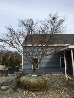 Outdoor Lifestyles - Outdoor Lighting Installation in East Lyme, CT