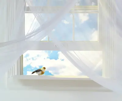 WinChoice USA - Memphis, TN - Window Installation & Replacement in Memphis, TN