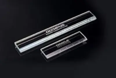 Marketing Merchandise; Workplace Supplies; Awards and Recognition — Window Installation & Replacement project by SOUTHROAD ENTERPRISES Dba SOUTHROAD GLASS ETCHING