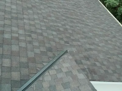 The Window Store Inc - Window Installation & Replacement in Minneapolis, MN