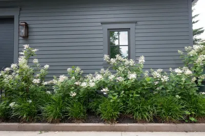 Outdoor Space Design - Garden Remodeling in Columbus, OH
