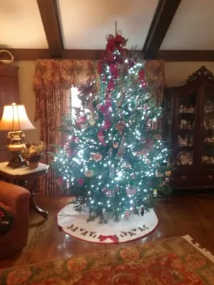 Christmas Decorating — Landscape Design project by Outerior Design in Greenville