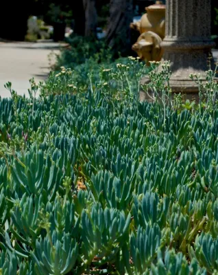 Mediterranean Beauty — Landscape Design project by Outside InStyle
