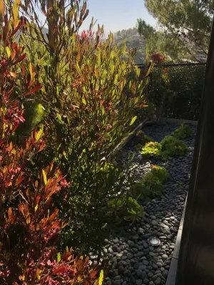 Bel Air View by Outside InStyle