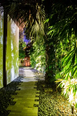 Argentine Group - Outdoor Lighting Installation in Saint Petersburg, FL
