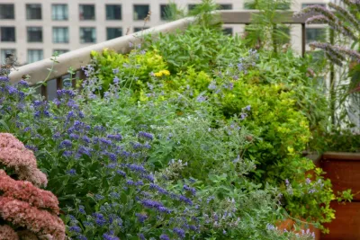 Outside Space NYC Landscape Design - Patio Design & Installation in Brooklyn, NY