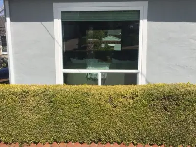 APW Outstanding Window Installation Service - Window Installation & Replacement in Mountain View, CA