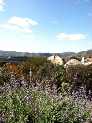 Argia Designs Landscape Design & Consultation - Garden Remodeling in San Francisco, CA