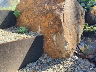 Argia Designs Landscape Design & Consultation - Garden Remodeling in San Francisco, CA