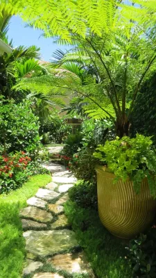 Paradelo Burgess Design Studio LLC - Garden Remodeling in West Palm, FL