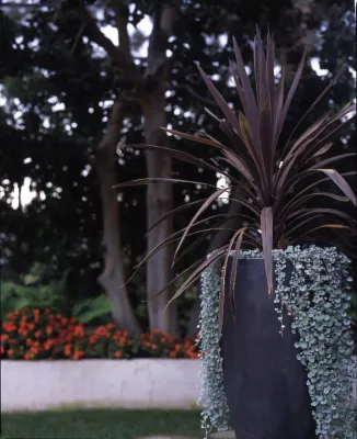 Santa Monica Streamline Modern — Landscape Design project by Park Slope Design
