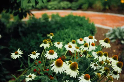 Parker Garden Design - Garden Remodeling in Nashua, NH