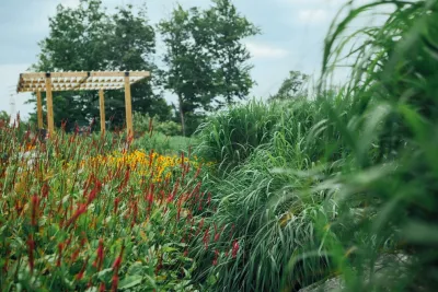 Parker Garden Design - Garden Remodeling in Nashua, NH