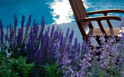 Patricia Van Buskirk Landscape Architect - Landscape Design in Hingham, MA