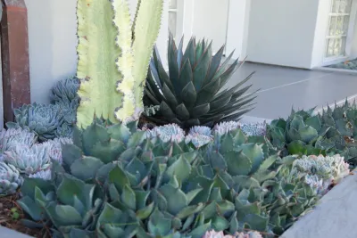 Patrick Lannan Designs - Outdoor Lighting Installation in San Francisco, CA