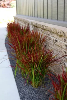 Patrick Lannan Designs - Outdoor Lighting Installation in San Francisco, CA