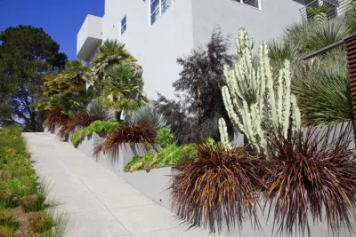 Patrick Lannan Designs - Outdoor Lighting Installation in San Francisco, CA