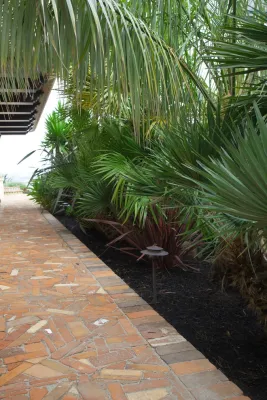 Patrick Lannan Designs - Outdoor Lighting Installation in San Francisco, CA