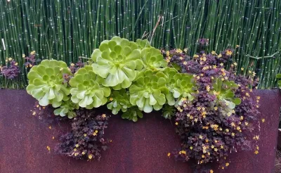 Patrick Lannan Designs - Outdoor Lighting Installation in San Francisco, CA