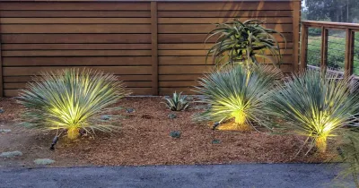 Patrick Lannan Designs - Outdoor Lighting Installation in San Francisco, CA