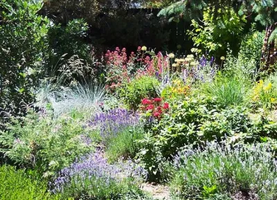 Art of the Land - Patio Design & Installation in Lakewood, CA