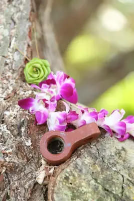 Kauai Eco Builders LLC - Design-Build Services in Kilauea, HI