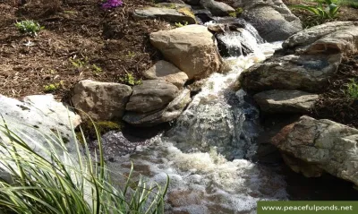 Peaceful Ponds - Outdoor Lighting Installation in Charlotte, NC