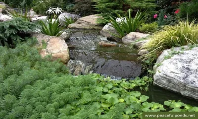 Peaceful Ponds - Outdoor Lighting Installation in Charlotte, NC