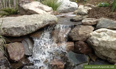 Peaceful Ponds - Outdoor Lighting Installation in Charlotte, NC