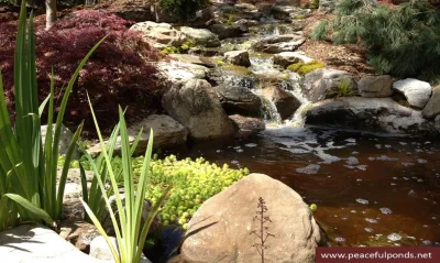 Peaceful Ponds - Outdoor Lighting Installation in Charlotte, NC