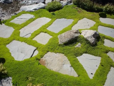 Pebble Creek Design - Outdoor Lighting Installation in Draper, UT