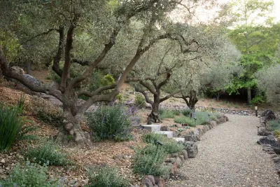 Hillside Retreat — Landscape Design project by Pedersen Associates in San Rafael