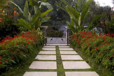 Palo Alto Oasis — Landscape Design project by Pedersen Associates in Palo Alto