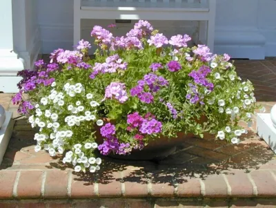 Peggy Amster Landscape Design - Garden Remodeling in Water Mill, NY
