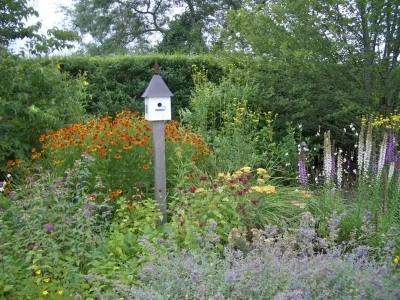 Peggy Amster Landscape Design - Garden Remodeling in Water Mill, NY