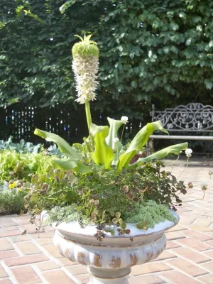 Peggy Amster Landscape Design - Garden Remodeling in Water Mill, NY