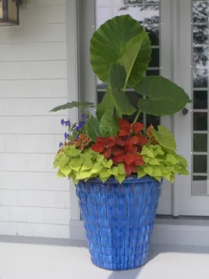 Peggy Amster Landscape Design - Garden Remodeling in Water Mill, NY
