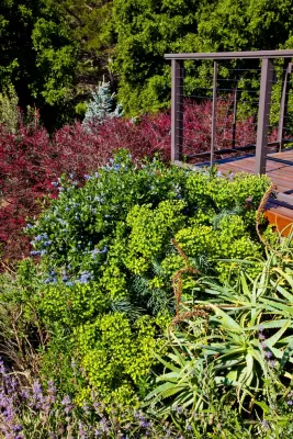 Artisan Home Resorts - Garden Remodeling in Saratoga, CA