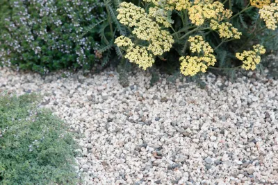 Perennial Design - Landscape Design in Huntington Beach, CA