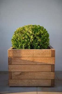 Perennial Design - Landscape Design in Huntington Beach, CA